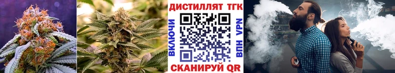 shop как зайти  Ершов  Дистиллят ТГК THC oil 